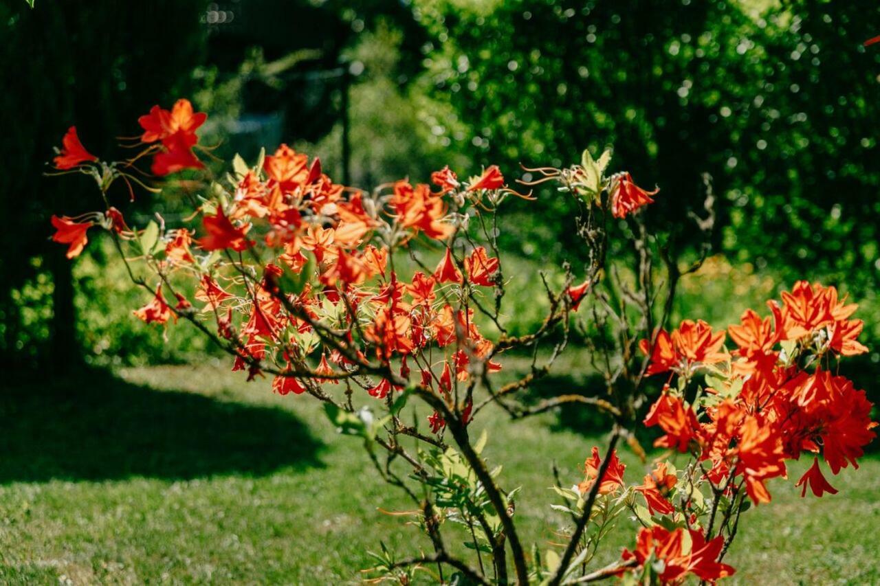 Harztor Villa Nordhausen Dış mekan fotoğraf